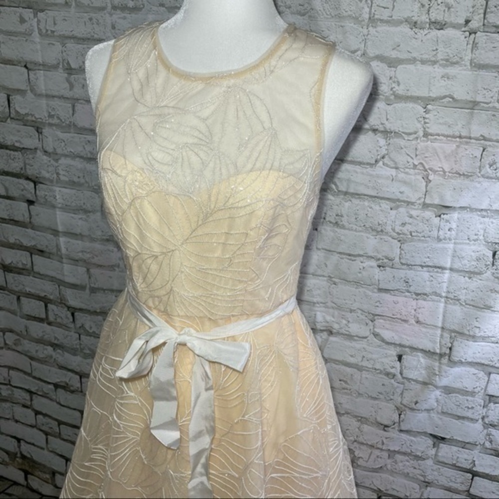 BCBG Off White Sheer Yoke MIDI Dress 4 - Picture 10 of 16